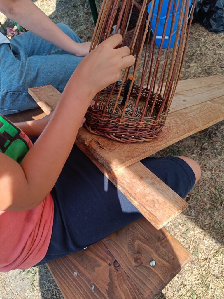 Hands guiding willow while weaving a basket